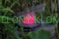 Zamgławiacz Pondofog RGB 87989 Oase Pontec
