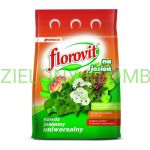 Nawóz Jesienny Uniwersalny 1 KG Florovit