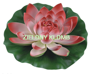 Lilia Wodna Czerwona 28CM GW7125 Greenmill