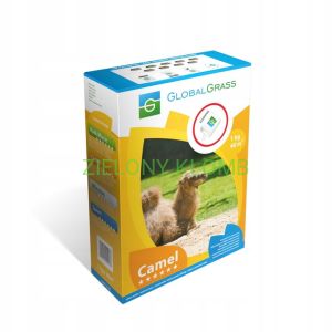 Nasiona Traw Camel 1 KG Globalgrass