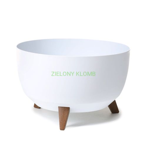 MISA ROMA BIAŁA.jpg