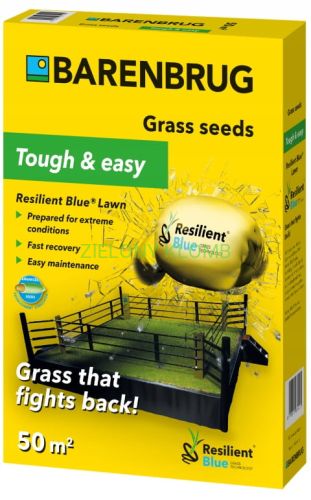 Nasiona Traw Resilient Blue 1KG Barenburg