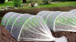 Włóknina Wiosenna 1,6M  Agro Nova