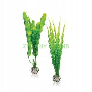 Rośliny S Zielone 46055 Biorb