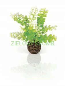 Glon Morski Calarepa Zielony 46090 Biorb