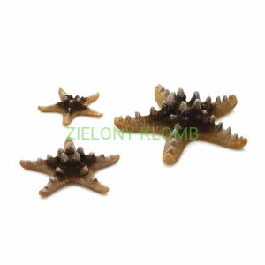 Rozgwiazdy Naturalne 46137 Biorb