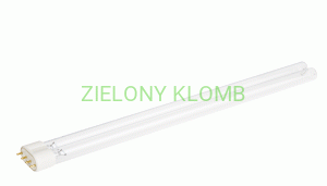 Żarnik PL 36 W XClear Soll