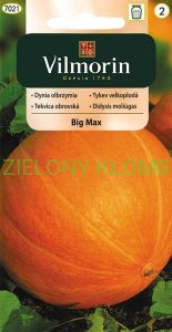 Dynia Big Max 3G Vilmorin