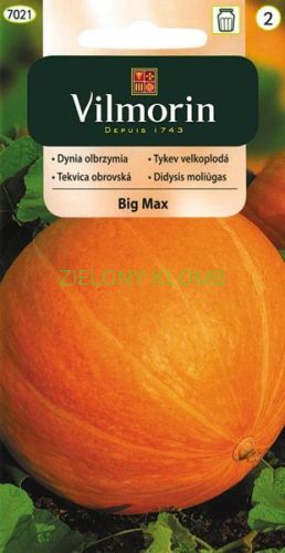 Dynia Big Max 3G Vilmorin