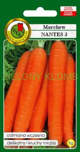 Nasiona Marchew Nantes 3 5G PNOS