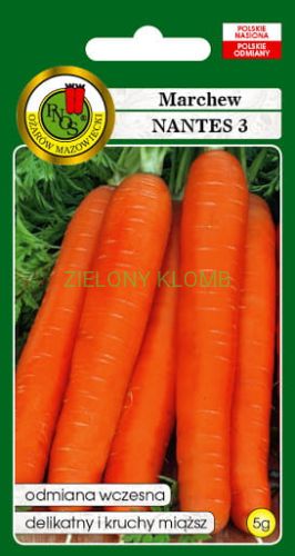Nasiona Marchew Nantes 3 5G PNOS
