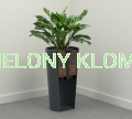 aranżacja system nawadniający.png