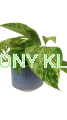 osłonka oslonka