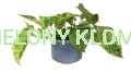 osłonka granatowa