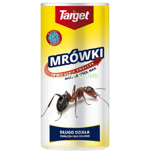MRÓWKI SOLNICZKA.png