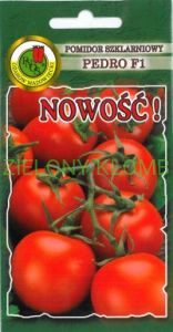 Nasiona Pomidor Szklarniowy Pedro F1 0,1G PNOS
