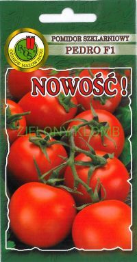Nasiona Pomidor Szklarniowy Pedro F1 0,1G PNOS