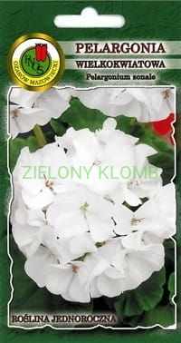 Nasiona Pelargonia Biała F1 PNOS