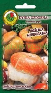 Nasiona Dynia Ozdobna Turecki Turban 2G PNOS
