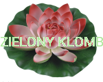 Lilia Wodna Czerwona 28CM GW7125 Greenmill