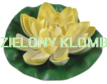 Lilia Wodna Żółta 19CM GW7232 Greenmill