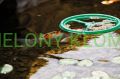 Karmidło Dla Ryb Pondofeed Ring 73351 Oase Pontec