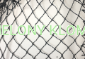 siatka.png