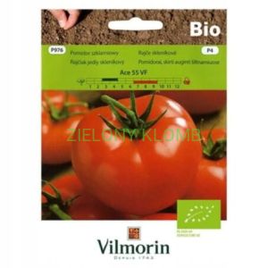 Nasiona Bio Pomidor Ace 0,5G Vilmorin