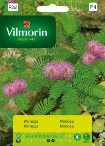 Mimoza Pudica 0,8g Vilmorin