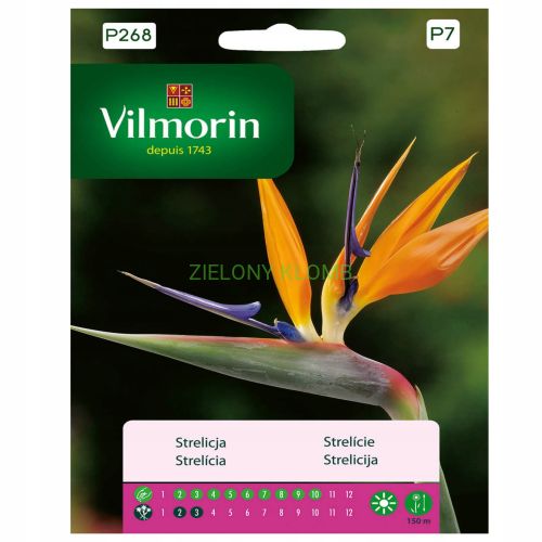 Strelicja Królewska 10szt. Vilmorin