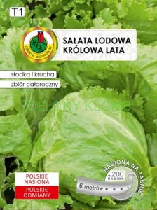 Nasiona Sałata Królowa Lata Taśma 6M PNOS
