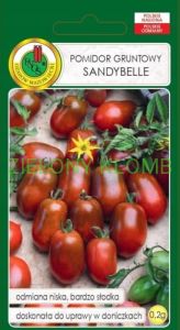 Nasiona Pomidor Gruntowy Sandybelle 0,2G PNOS