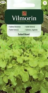 Sałata Salad Bowl 1G Vilmorin