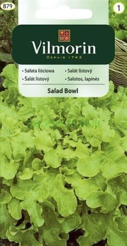 Nasiona Sałata Salad Bowl 1G Vilmorin