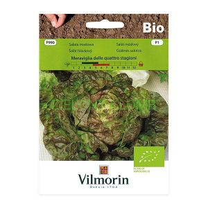 Nasiona Bio Sałata Quattro Stagioni 0,5G Vilmorin