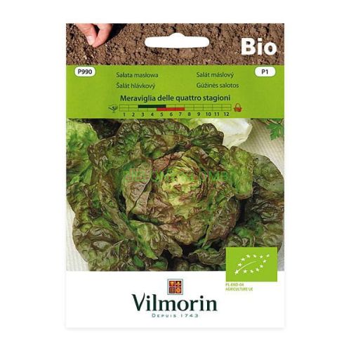Nasiona Bio Sałata Quattro Stagioni 0,5G Vilmorin