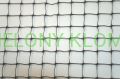 DSC04207.JPG