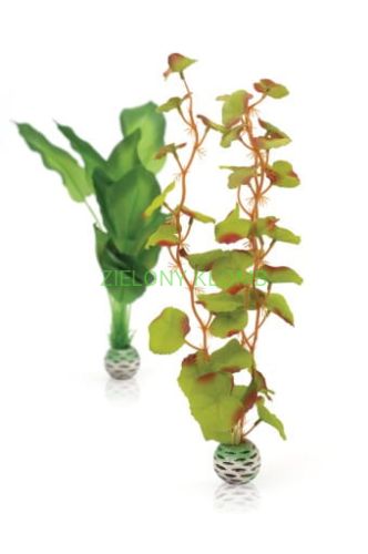 silk plant.jpg