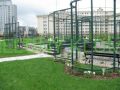 trawa global grass.jpg