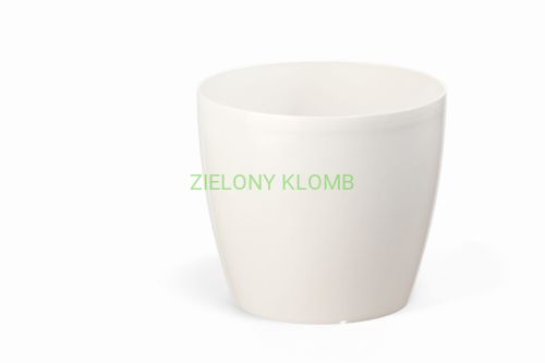 magnolia kremowy nr2.jpg