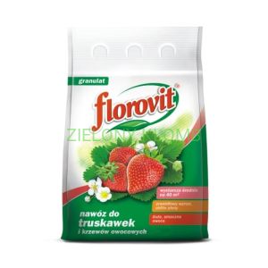 Nawóz Do Truskawek i Poziomek 3KG Florovit