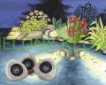 pondostar-30-set-oase-pontec-oswietlenie.jpg