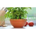 Doniczka Misa Bonsai DMS05 22,5cm Terakota Prosperplast