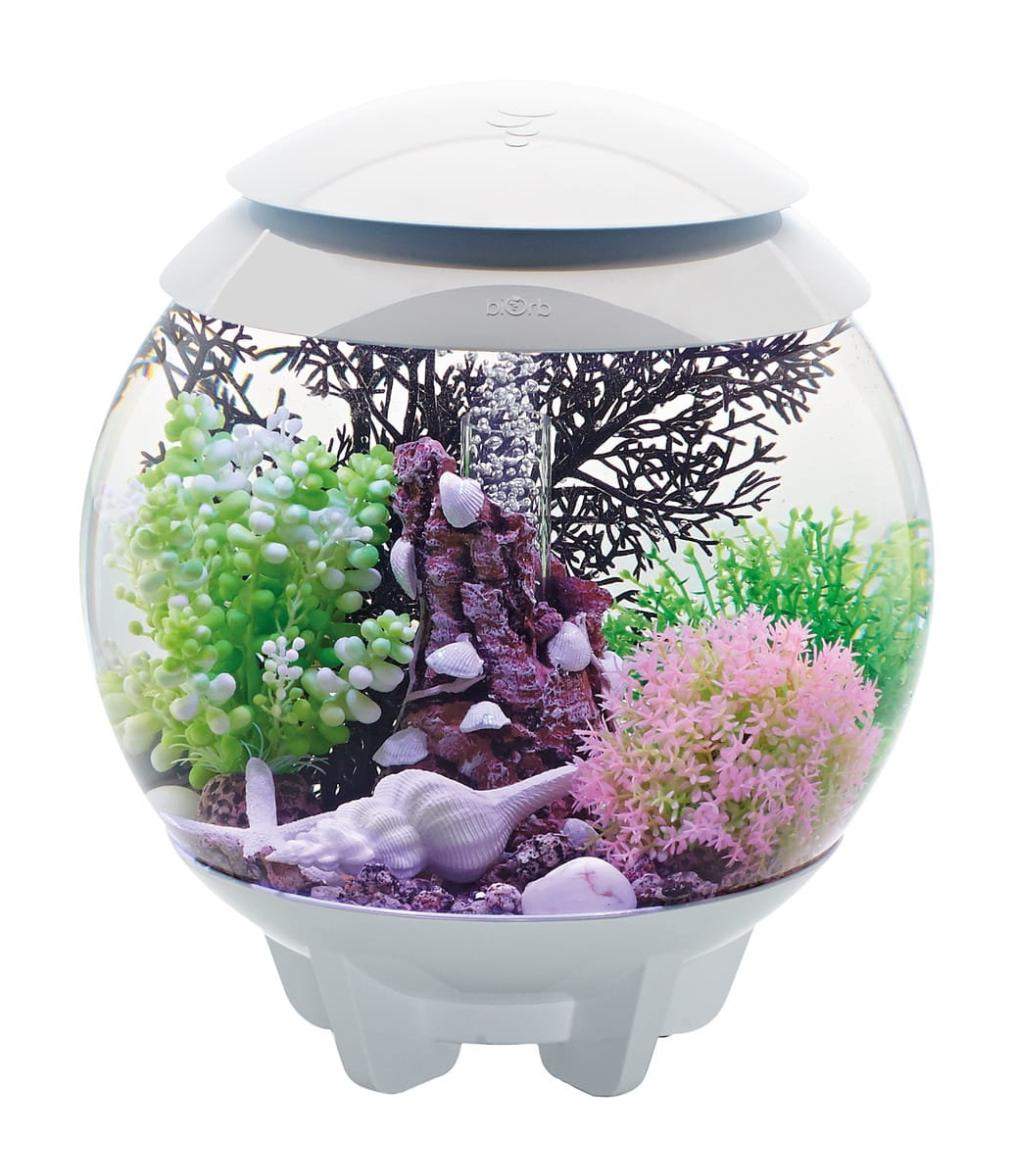 biorb akwarium halo