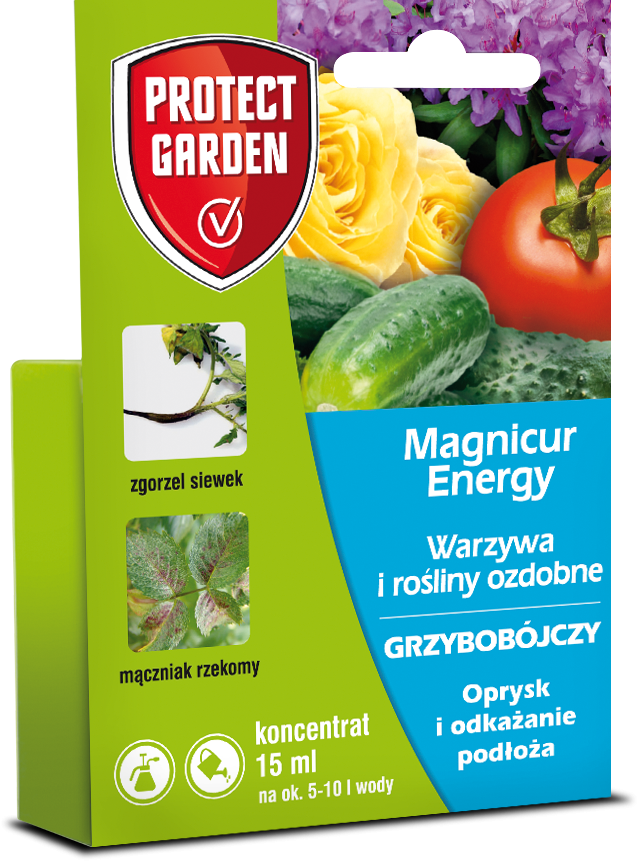 magnicur energy 15ml