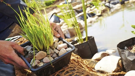 pojemnik 12 l aranżacja