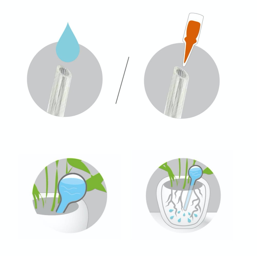 Szklany Nawadniacz Kula Nawadniająca 1