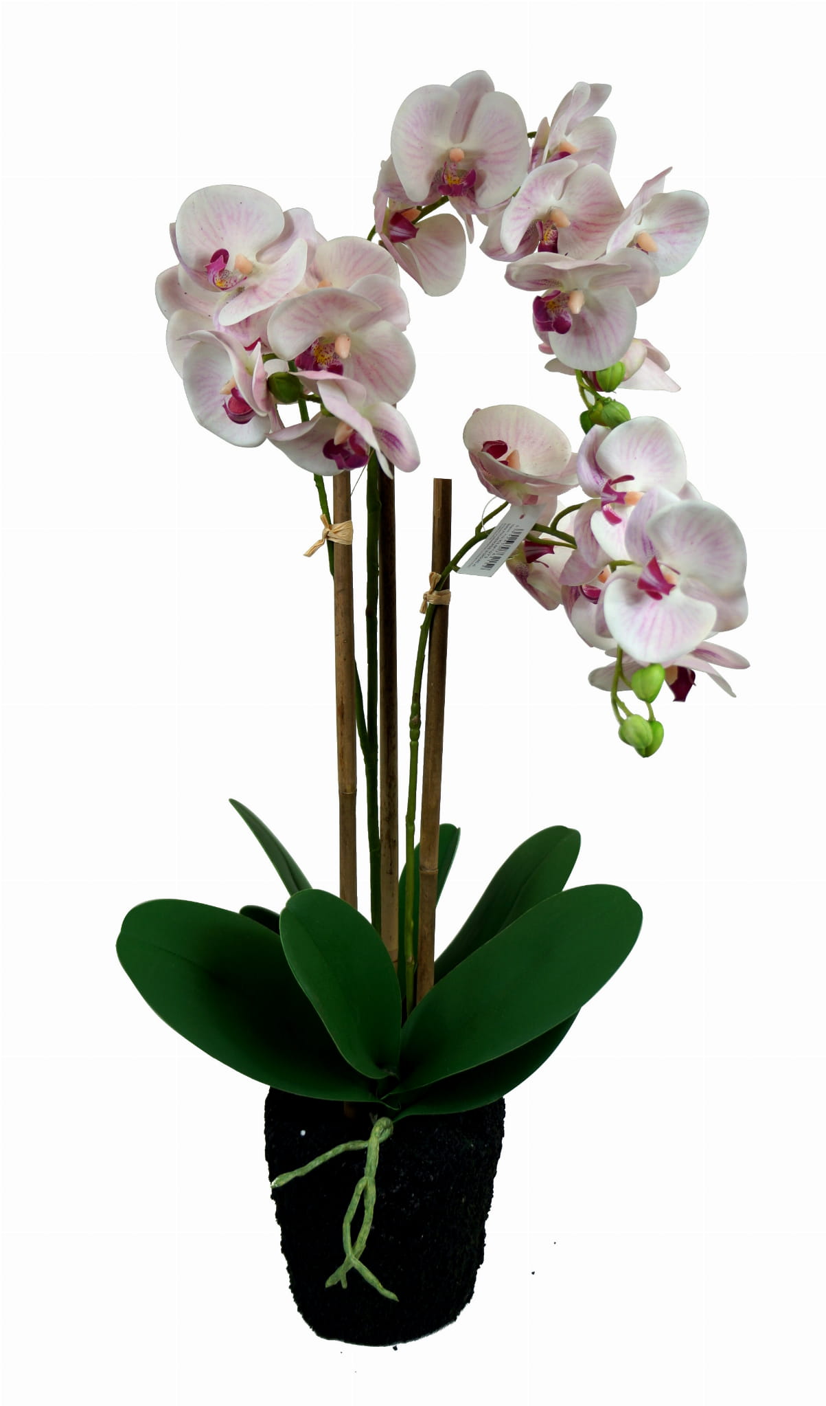 Sztuczny Storczyk Storczyki 1