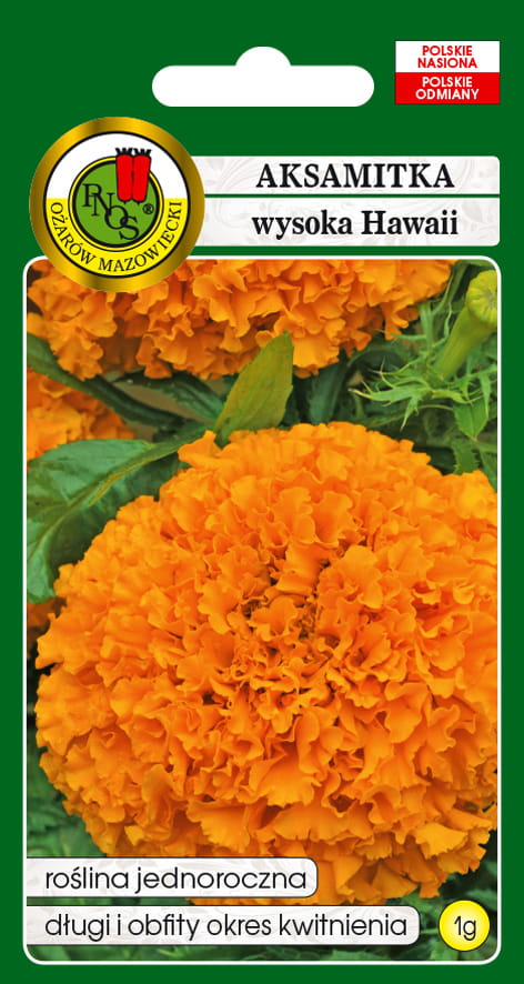 Nasiona Aksamitka